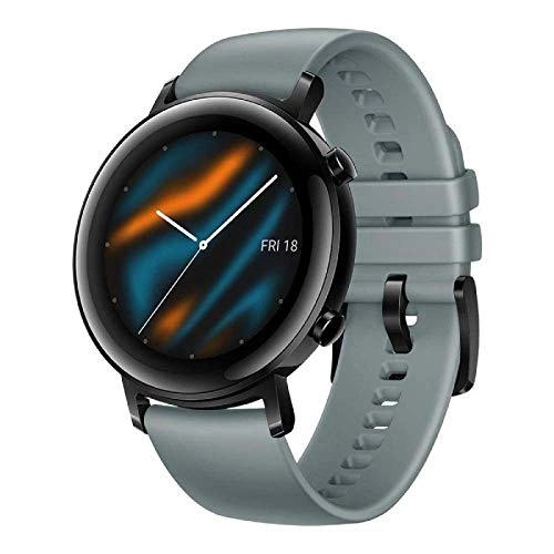 Watch GT 2 42mm GPS