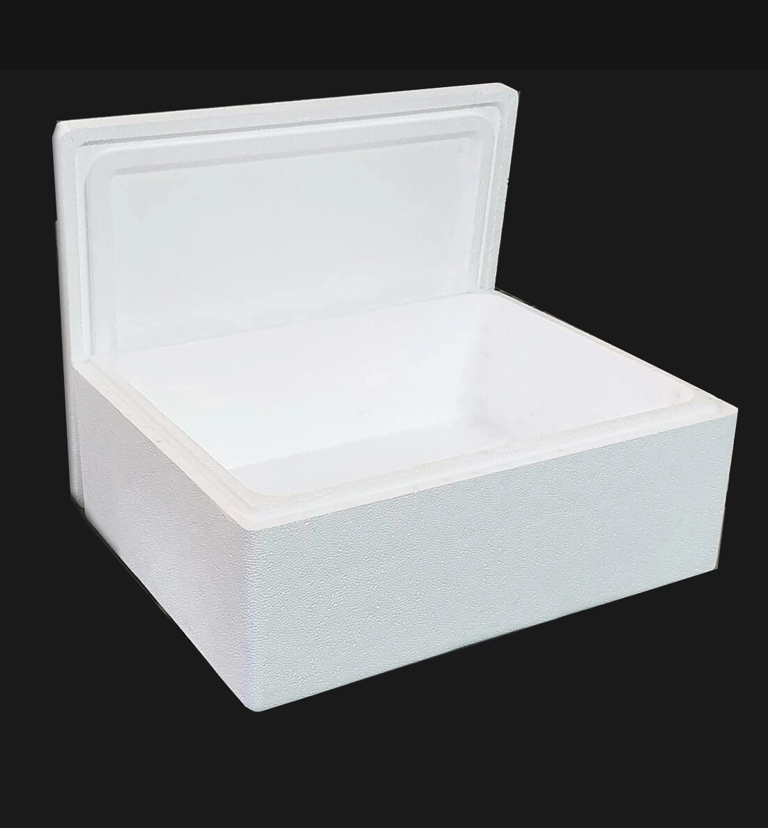 Thermocoal Ice Box
