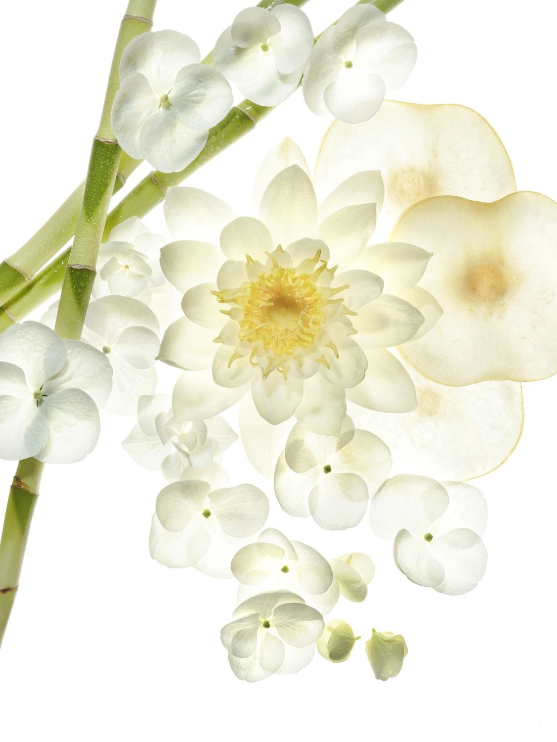 Omnia Crystalline Eau de Toilette 40ml