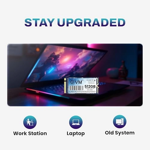 SATA Internal SSD - 512GB M.2 (2242)