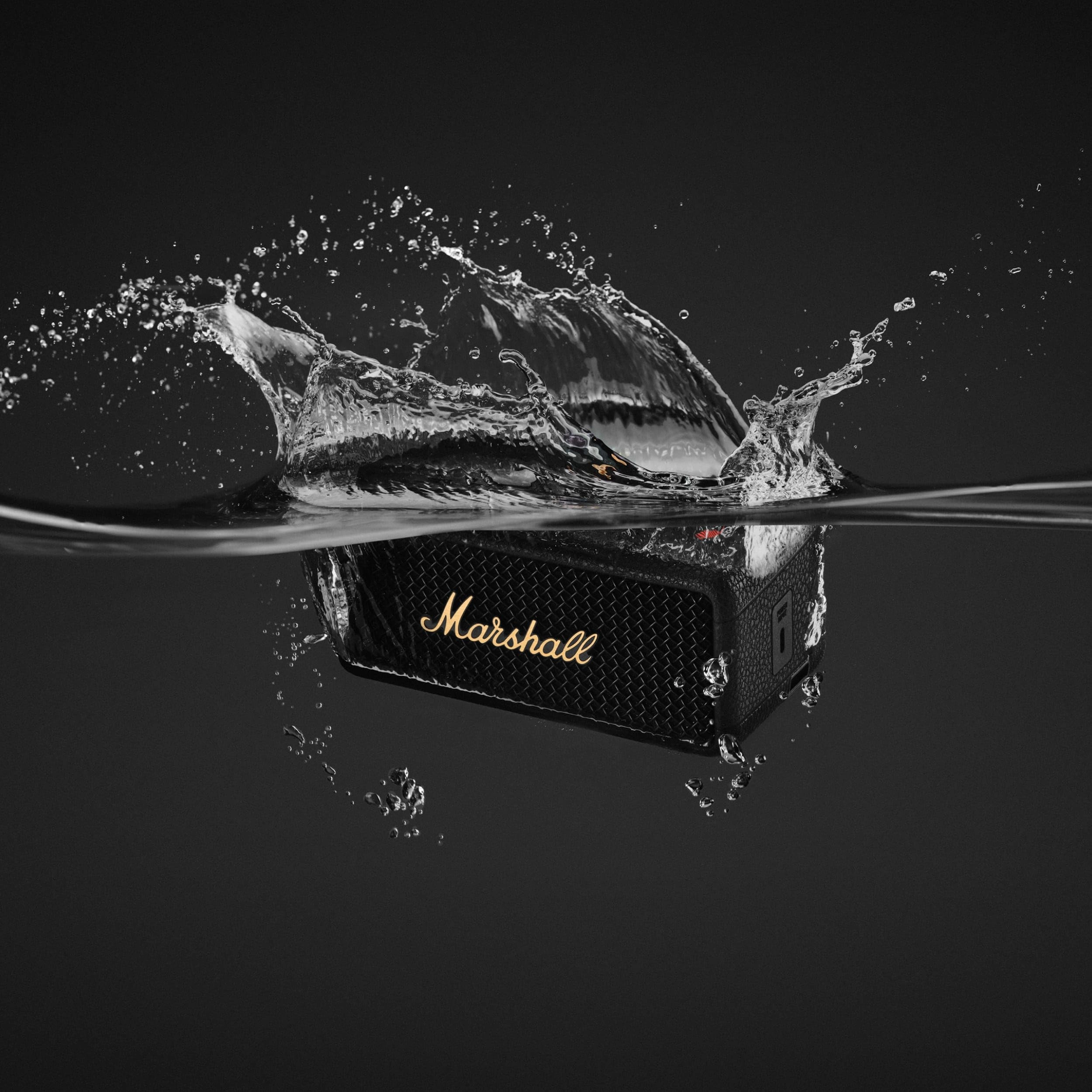 Emberton III Speaker