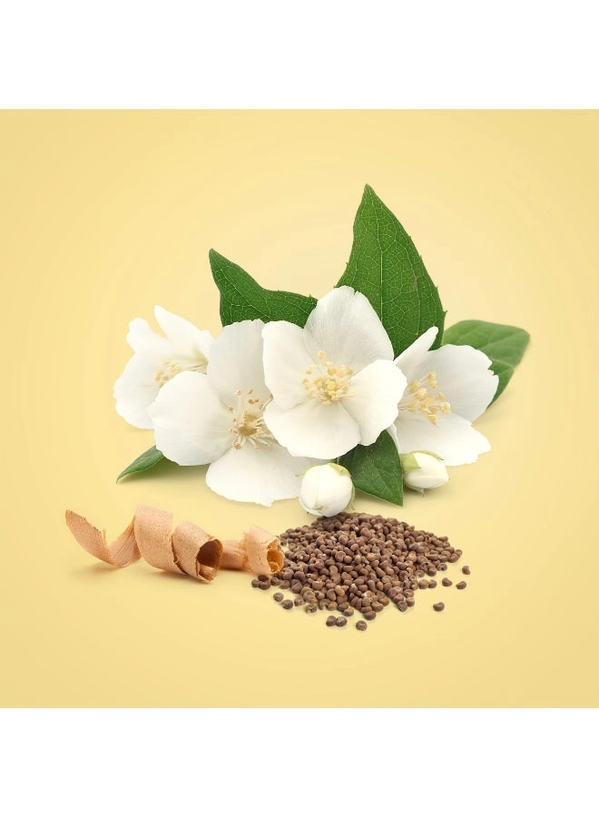 Beauty Eau de Parfum 100 ml