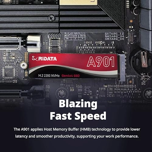 A901 - 500 GB M.2 2280