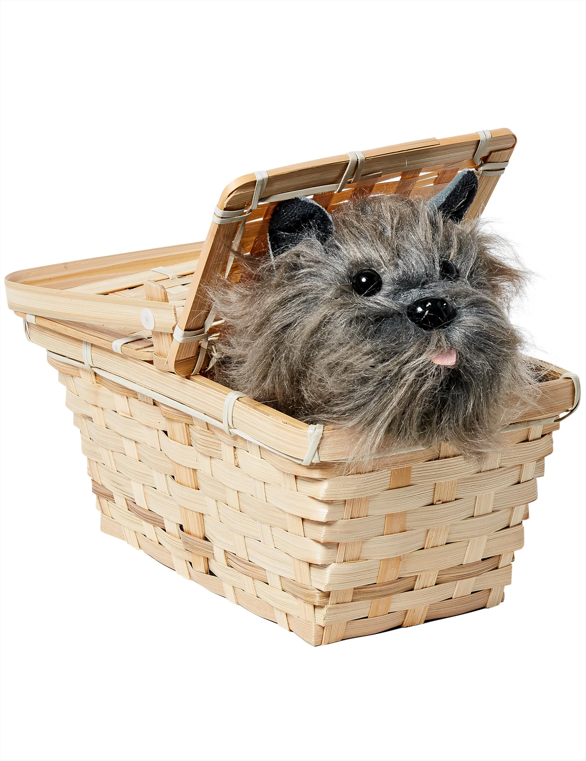 MZA STORES Wizard of Oz Dorothys Toto In A Basket - 10 x 7 x 5 inches