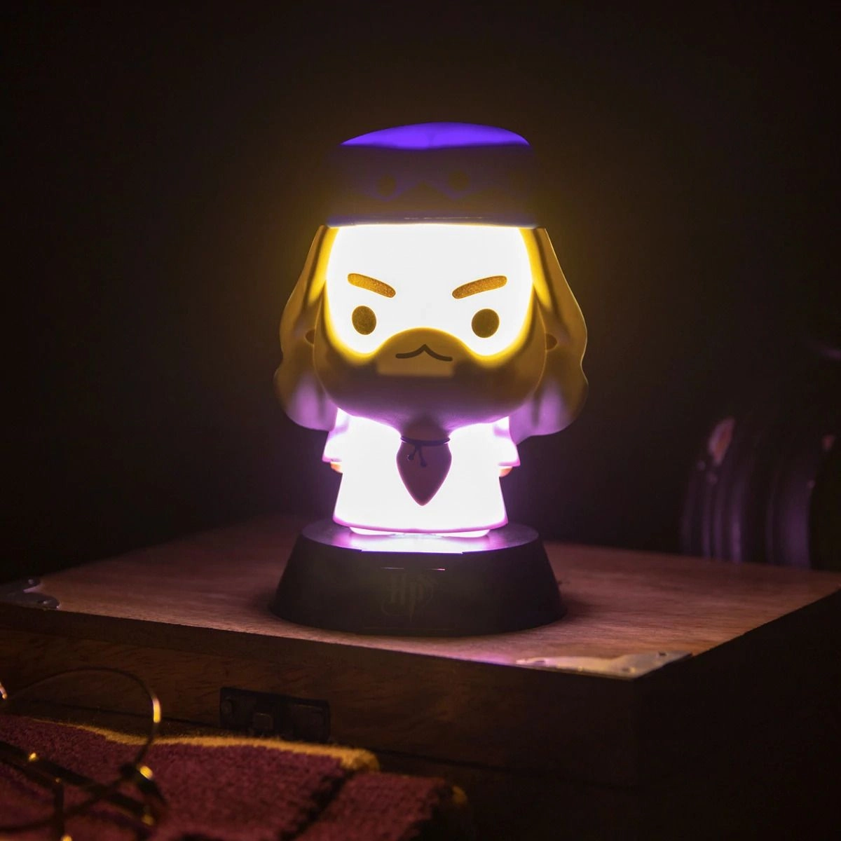 Harry Potter Box Light