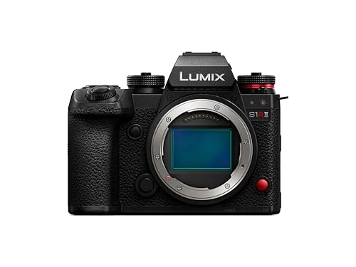 LUMIX S1
