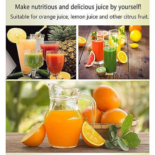 Electric Juicer - 300W