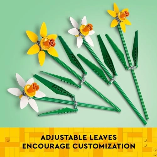Daffodils (40747) - Multicolor Ages 8+