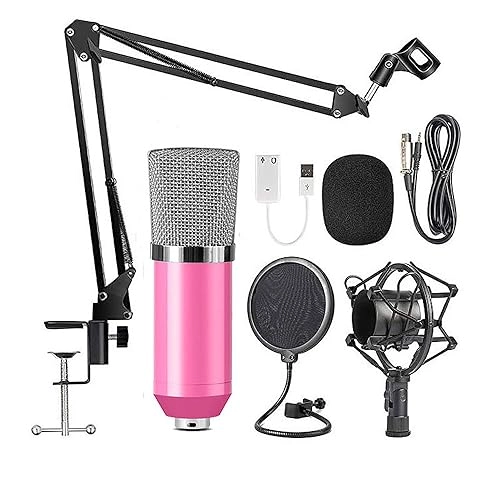 BM700 3.5mm-Mini-Jack Microphone