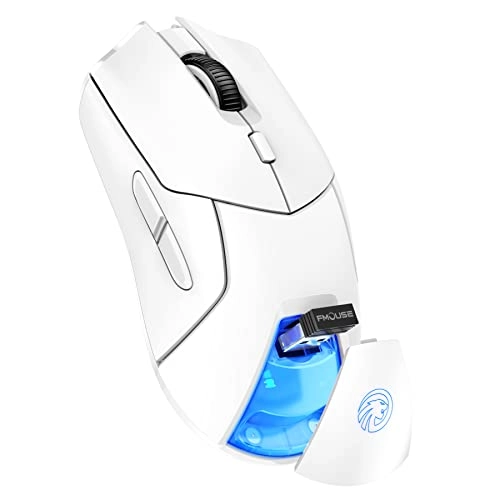 Ergonomic Mouse - Wireless