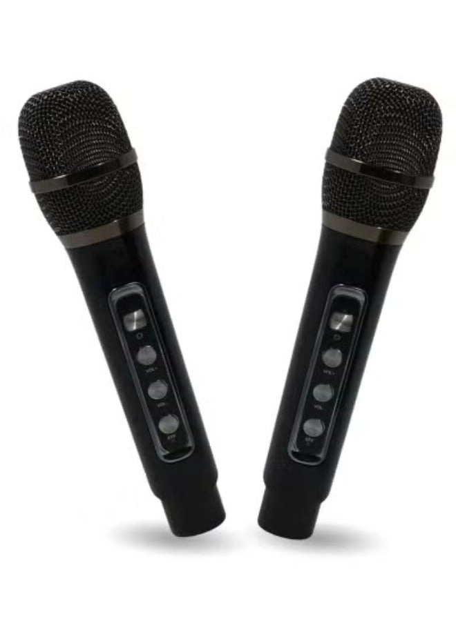 M25 - Wireless Bluetooth Karaoke System
