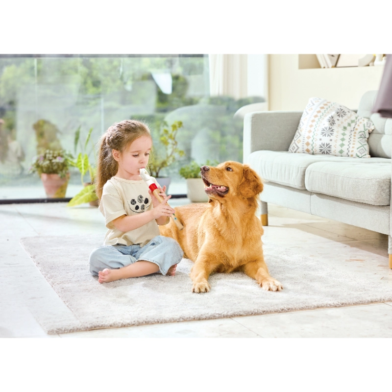 Mini Musician's Starter Recorder - Suitable for 3 years & above