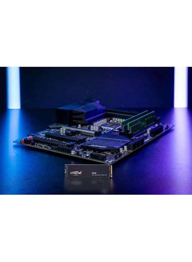 P310 - 2TB M.2
