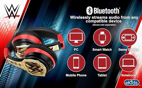 WW-B52 Wireless Headphone