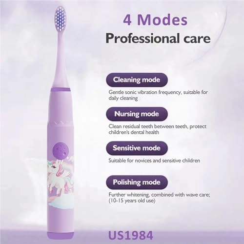 Sonic Electric Toothbrush - 4 Modes 3 Brush Heads Rechargeable