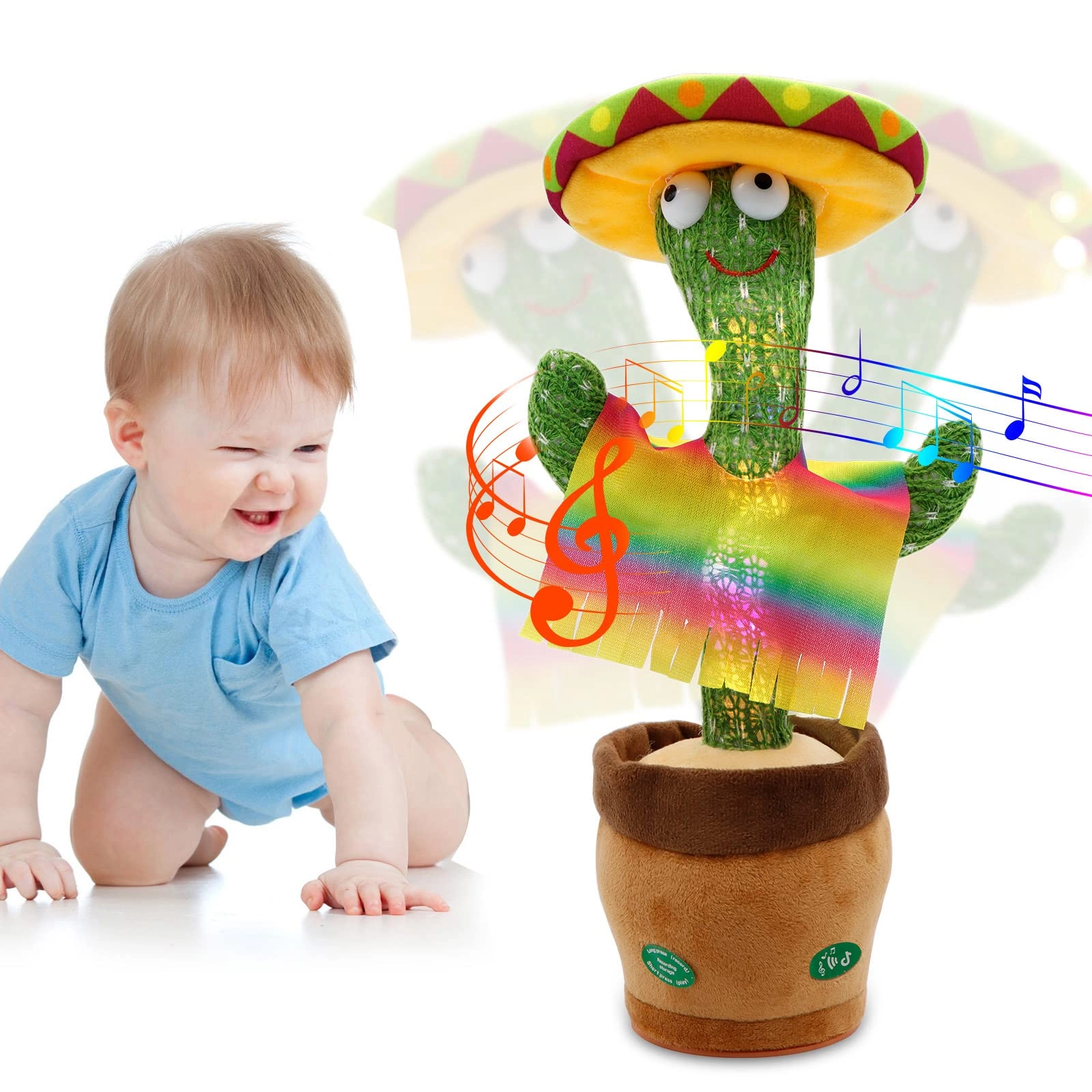 TAMRAN KangLang Dancing Cactus