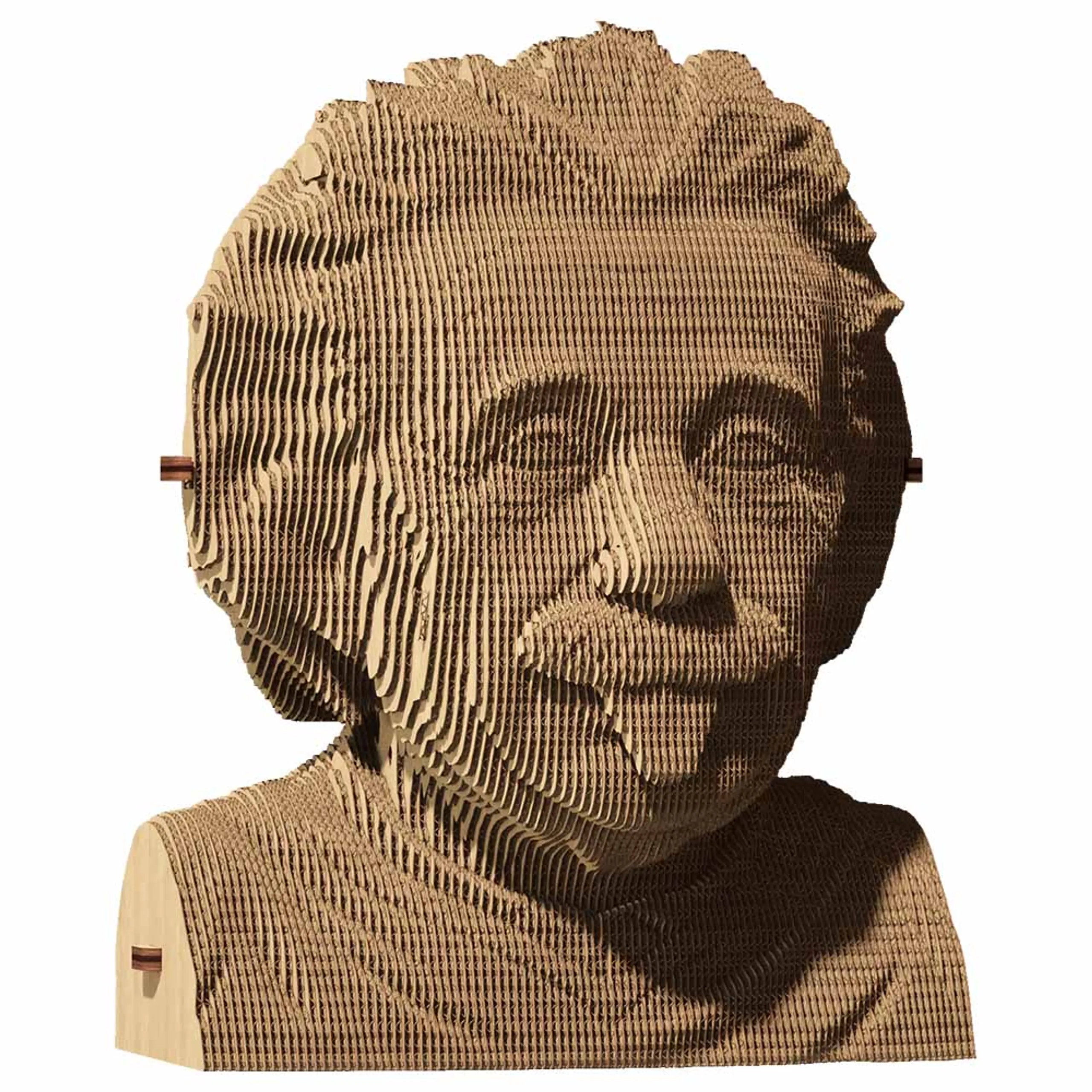 CARTONIC Albert Einstein 3D Puzzle (CARTMALB) - 172 pcs