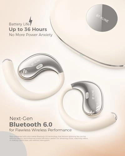 BT-X Wireless Headphone