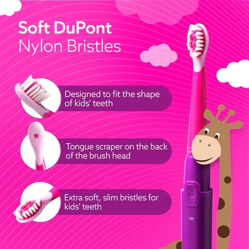 REX - Sonic 3 Modes Rechargeable