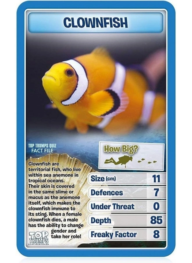 Creatures of The Deep - 6 Plus