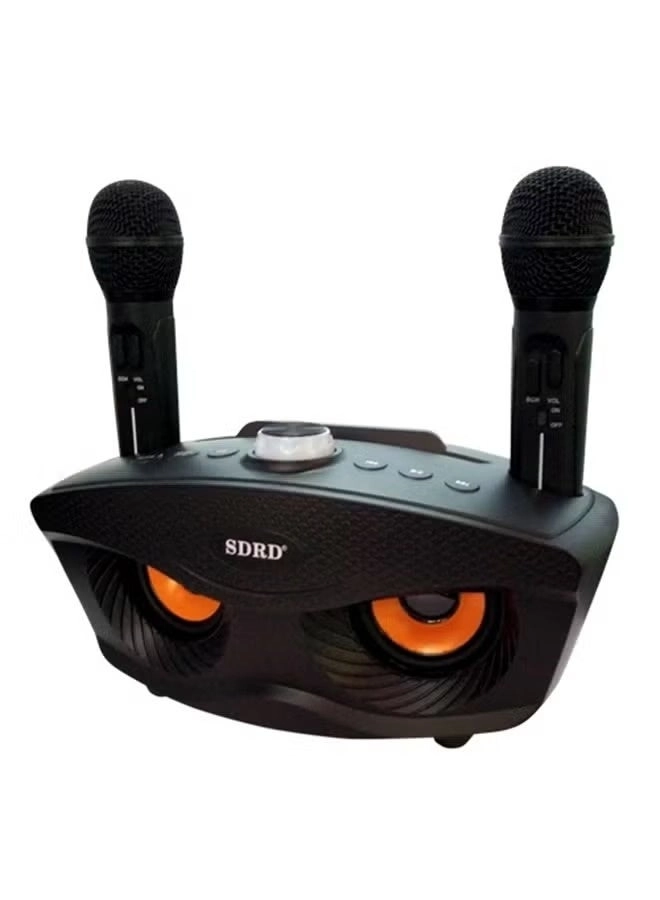 SD-306 - Dual Wireless Mic