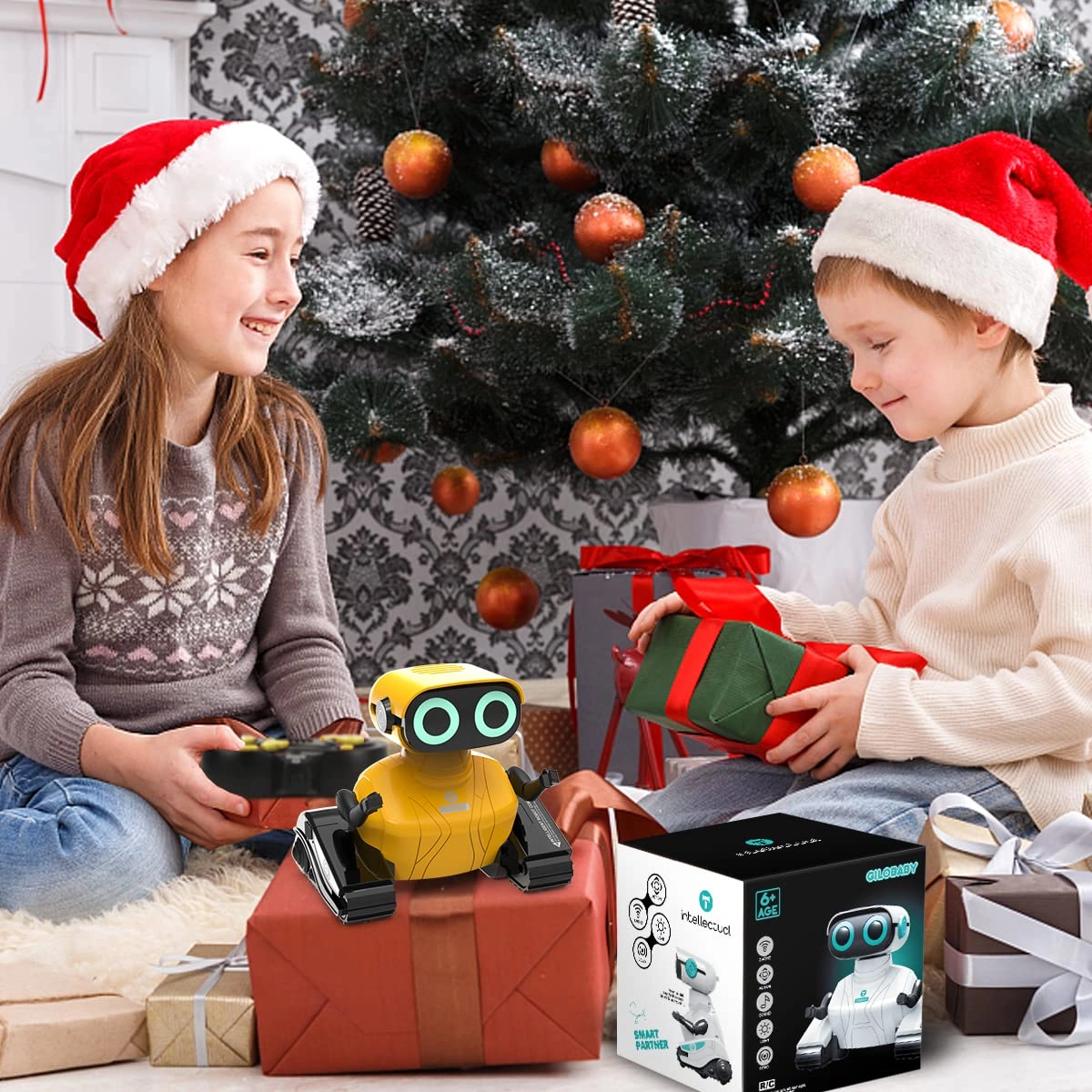 RC Robot