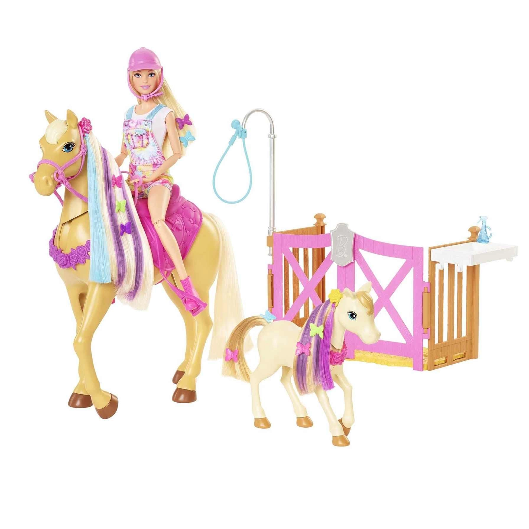 Barbie Groom 'n Care Horses Playset - 11.5 in Doll 20+ Accessories Ages 3+