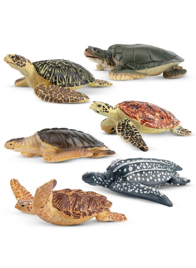 TOYMANY Sea Turtle Figurines 6 pcs