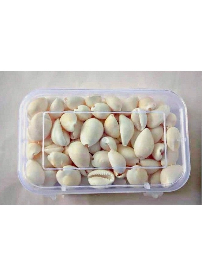 Wooden Pallankuli Set - All Ages