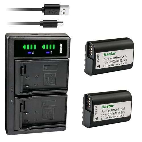 DMW-BLK22 - 2200mAh + LTD2