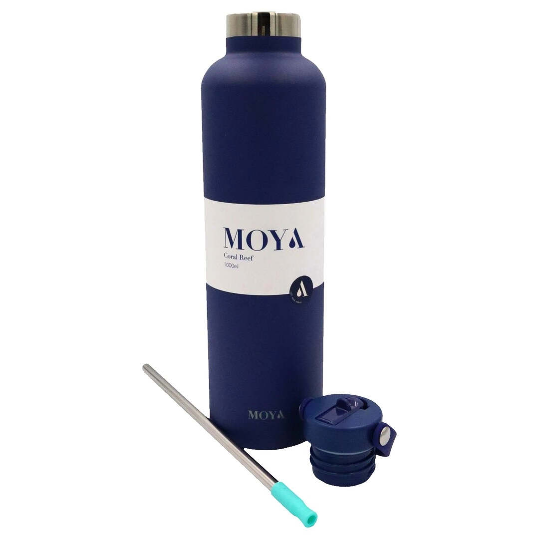 Coral Reef Flask - 1L