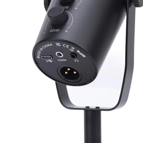 Dynamic Microphone USB+Wireless Microphone