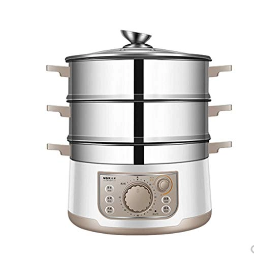 Electric Steamer - 3