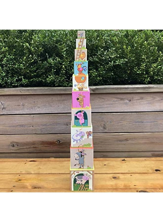 On The Farm Nesting & Stacking Cubes - Cardboard Multicolour