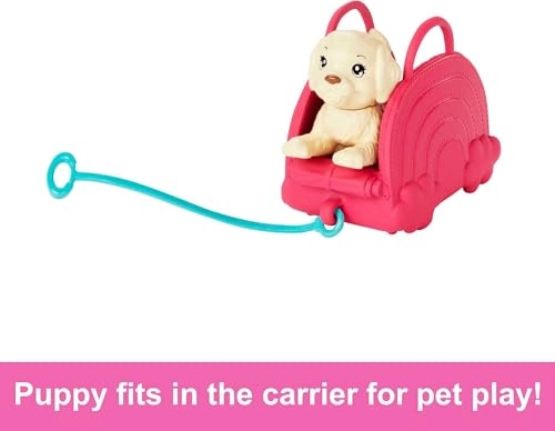 Chelsea Travel Doll - It Takes Two 6 Accessories Ages 3+