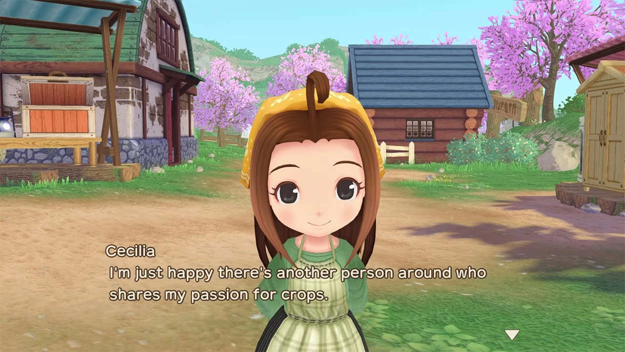 Story of Seasons: A Wonderful Life | Nintendo Switch