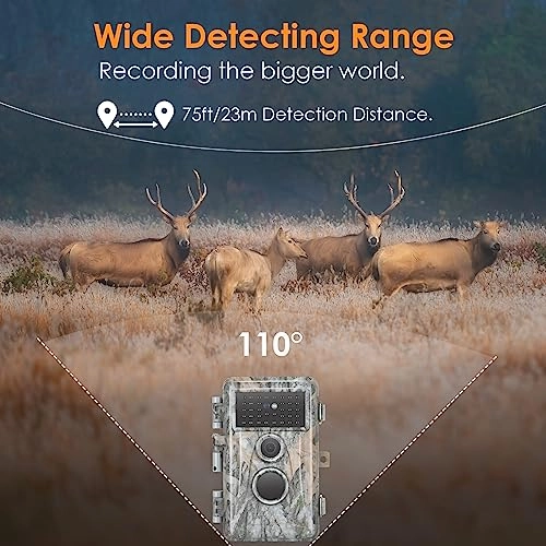 TrailCam-Basic - 16MP