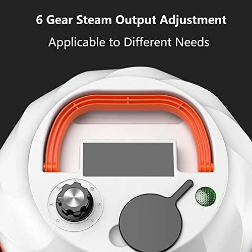 High Pressure Steam Cleaner - 3 bar