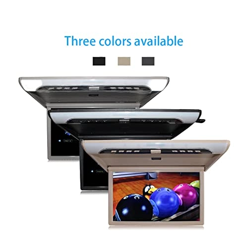 Car Ceiling Display - 19 Inch