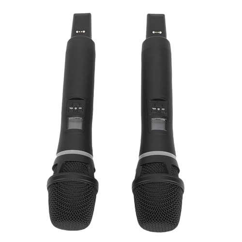 Dual Wireless Microphone