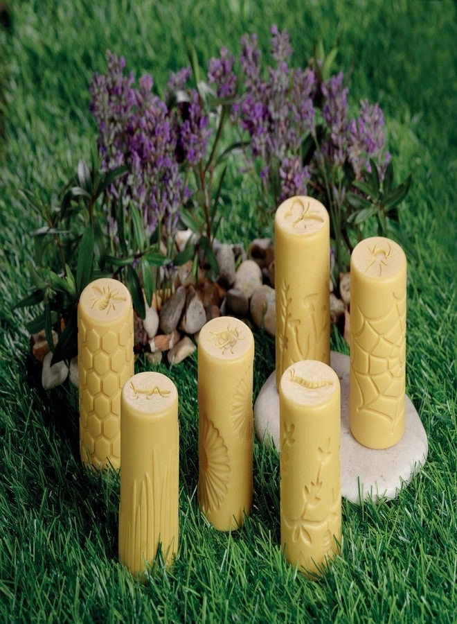 Let's Roll + Garden Bugs - 6pcs