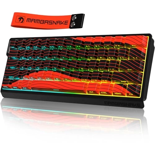 X60 HE - Wired/Wireless