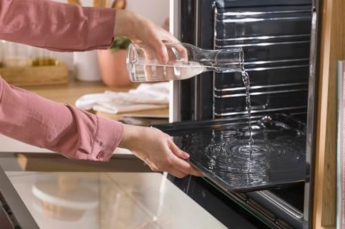 BSA6747A04BGWI Electric Oven