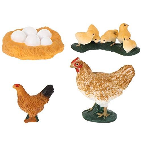 Chick Life Cycle Exploration Set Biology - 4 pieces