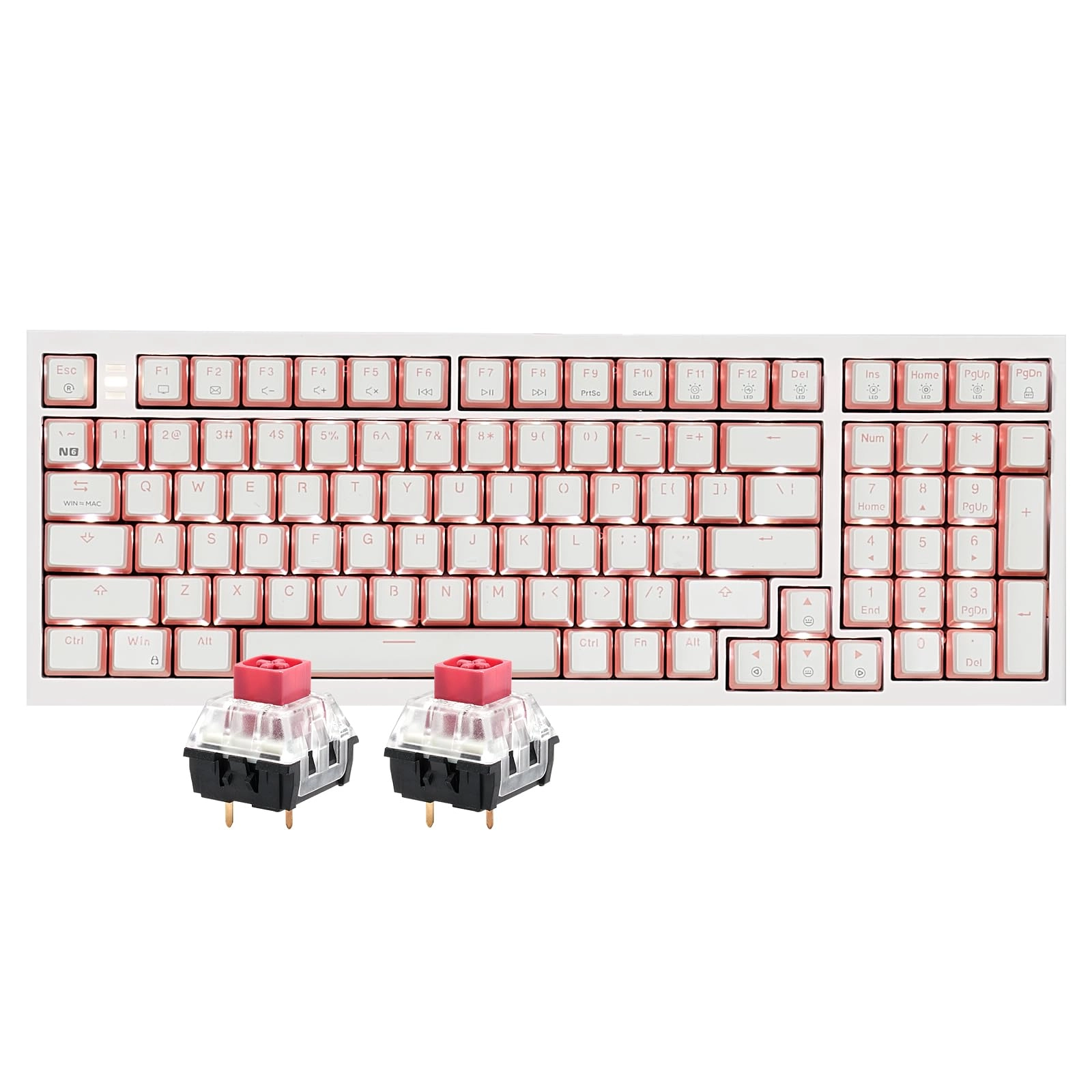 X4 - US Wired/Wireless