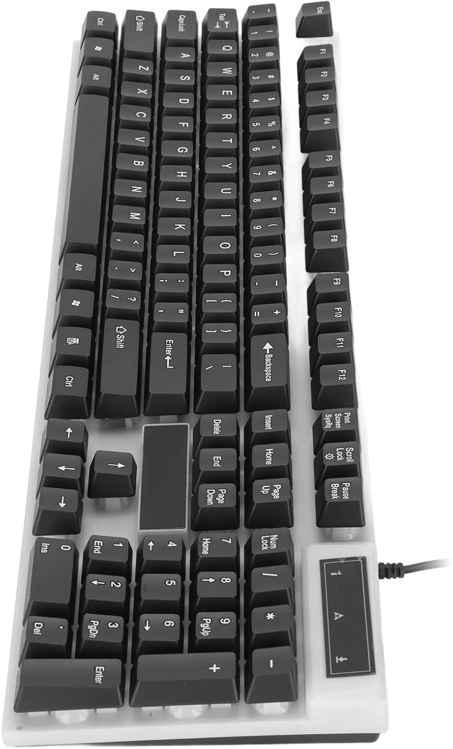 D500