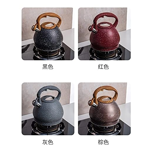 Stovetop Induction Whistling Kettle - 5L