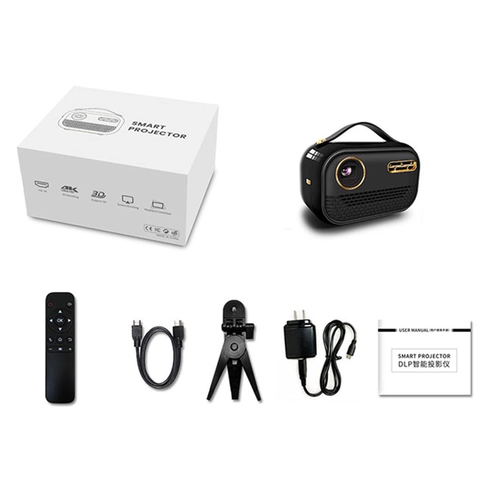 Projector - 12000 Lumens Native 1080P