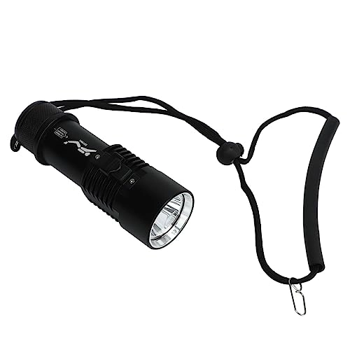 Dive Torch