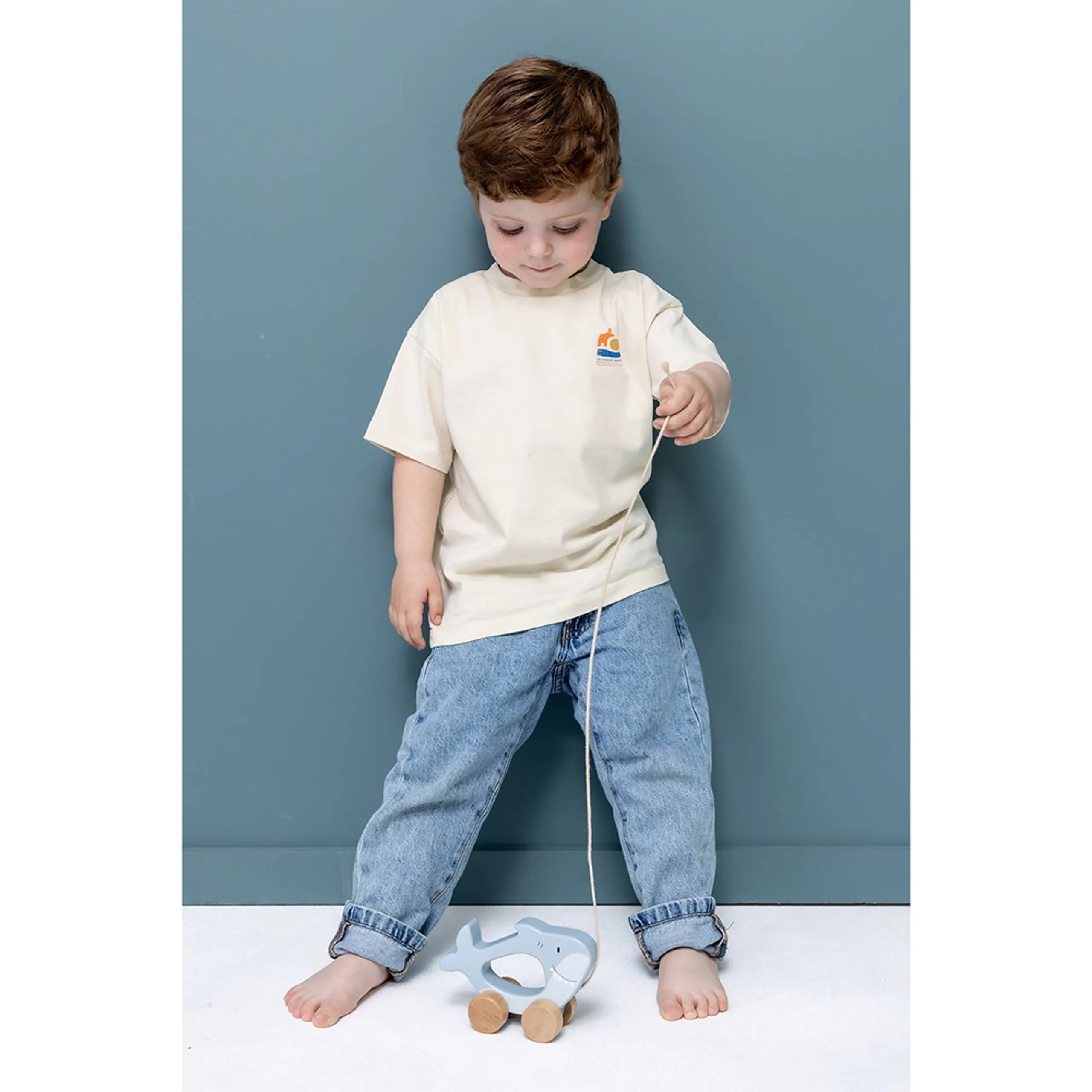 Wooden Pull Along Toy - Mr. Shark